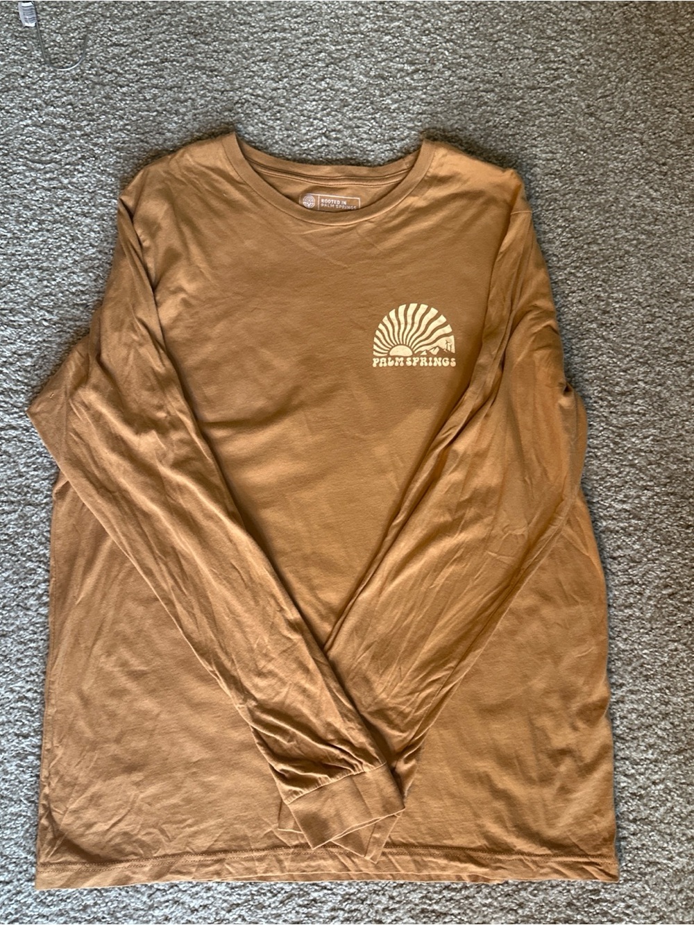 Rust Brown Long Sleeve Graphic Tee - Palm Springs
